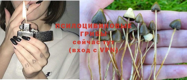 героин Алексин